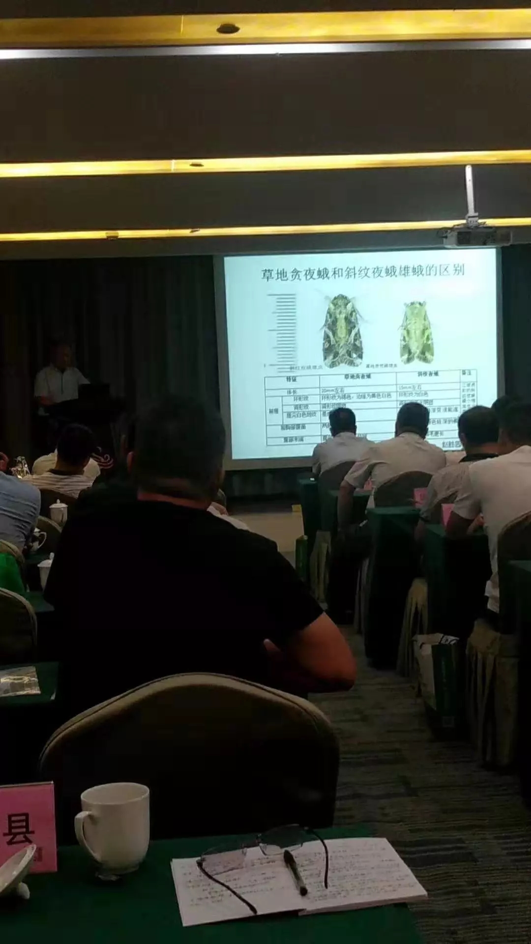 ���w�Ƽ��������Ӻ���ʡֲ��ֲ�z�������h